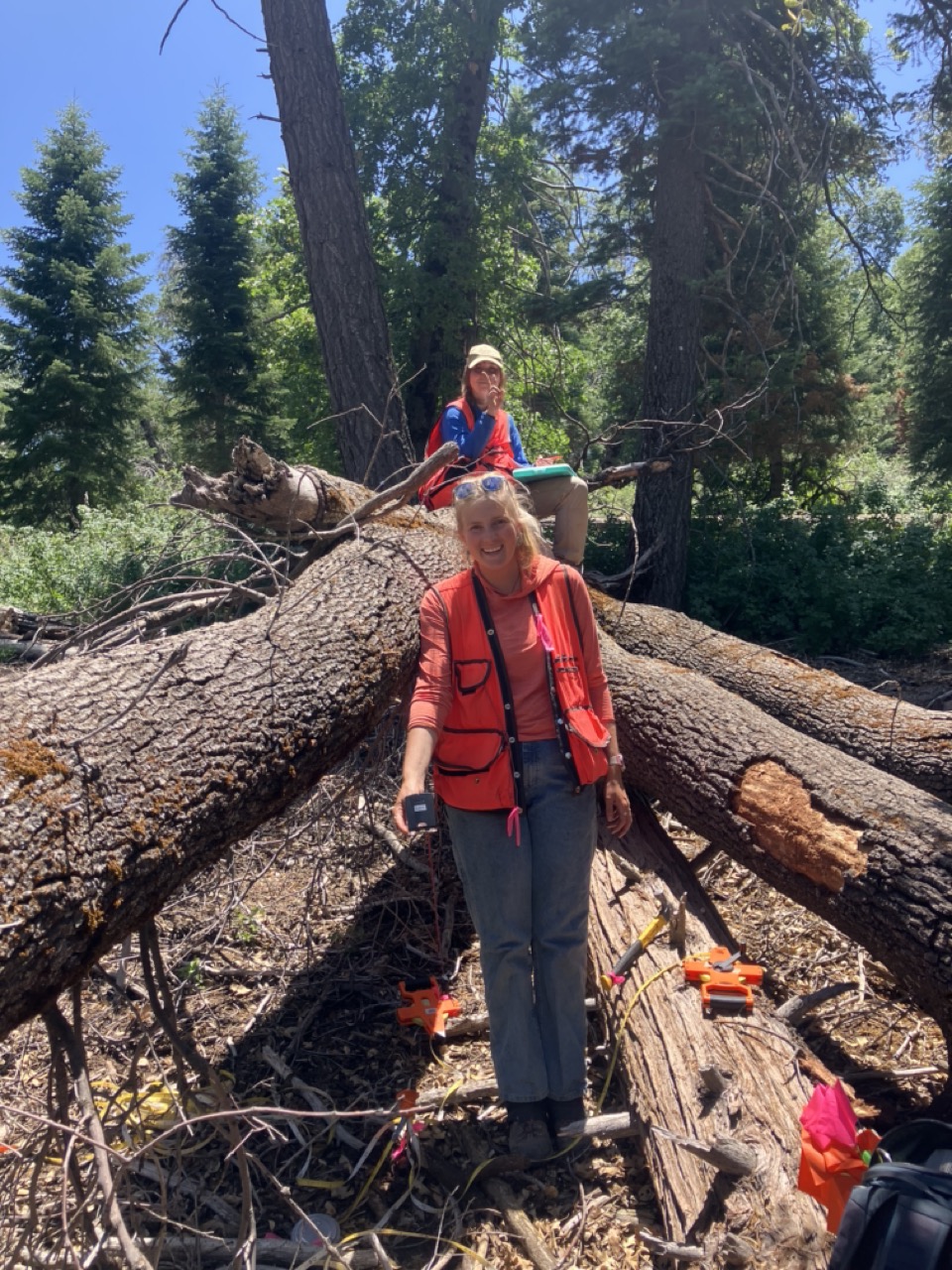 SERG employees smiling on downed logs.
